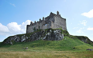 gray concrete building, castle, hill, grass, sky
