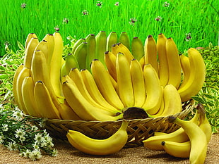 basket of yellow and green banana