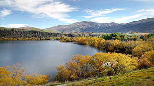 landscape photograph of lake at daytime, hayes, nz