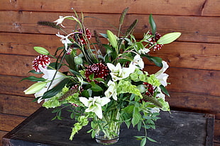 photo of white and maroon petaled flowers with leaves
