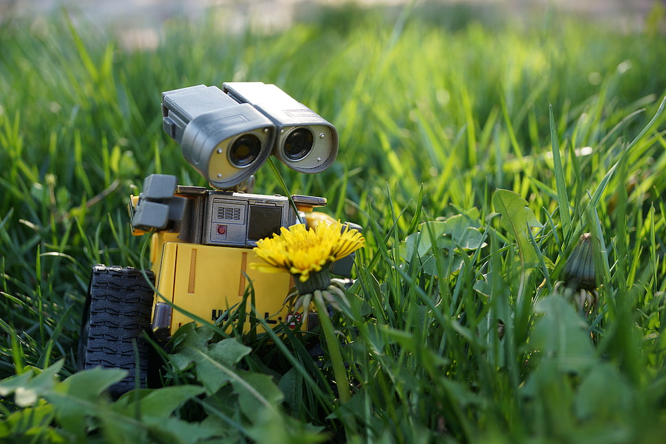 gray robot in grass illustration HD wallpaper