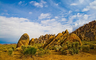 brown rock formation with green plant under cloudy sky