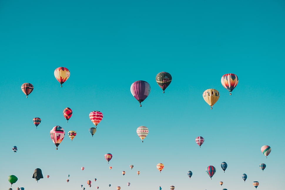 assorted-color hot air balloon lot HD wallpaper