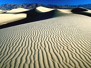 brown desert sand hills during daytime photo HD wallpaper