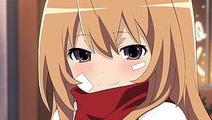 brown-haired female anime character, manga, anime, Toradora!, Aisaka Taiga HD wallpaper