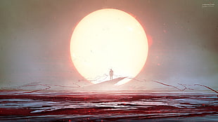 silhouette of person, Sun, anime, Kuldar Leement