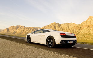 white coupe, Lamborghini, car, Lamborghini Gallardo, white