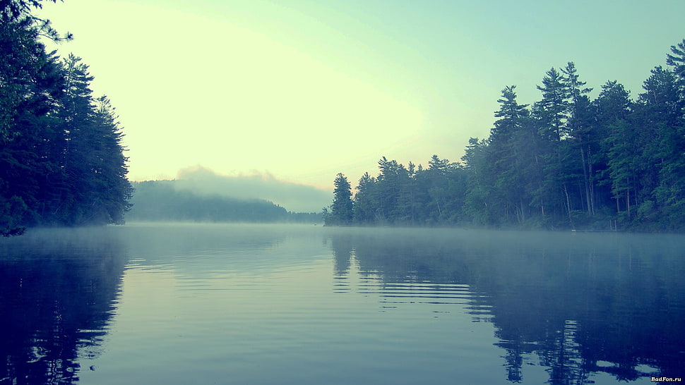 landscape photography of green trees and lake HD wallpaper