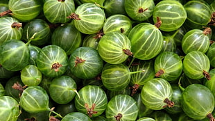 bunch of round green fruits