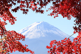 photo of snow covered mountain, mt. fuji