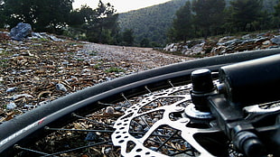 bicycle wheel laying on ground with leaves