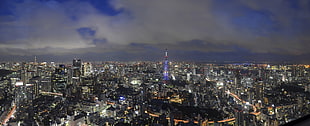 city buildings and structures during nighttime, tokyo