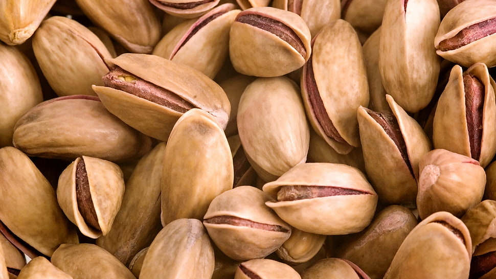 brown nut lot HD wallpaper