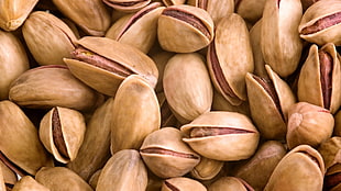 brown nut lot