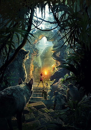 Jungle Book poster HD wallpaper