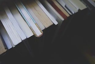 closeup photo of variety of books HD wallpaper