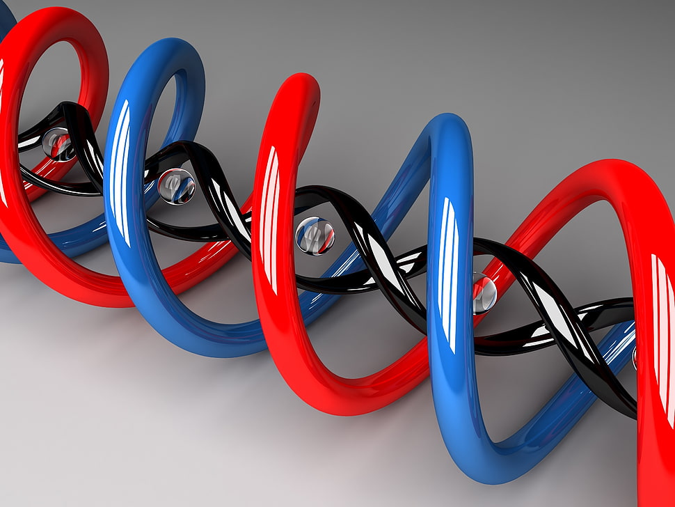 red, blue, and black human bio genes HD wallpaper