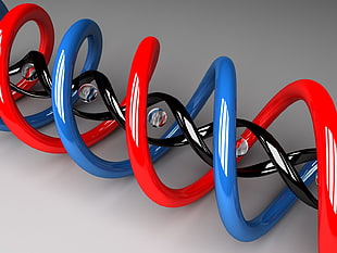 red, blue, and black human bio genes HD wallpaper