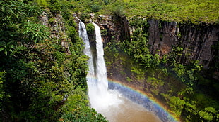 waterfalls and green leaf trees, waterfall, nature, landscape, Mac-Mac Waterfall HD wallpaper