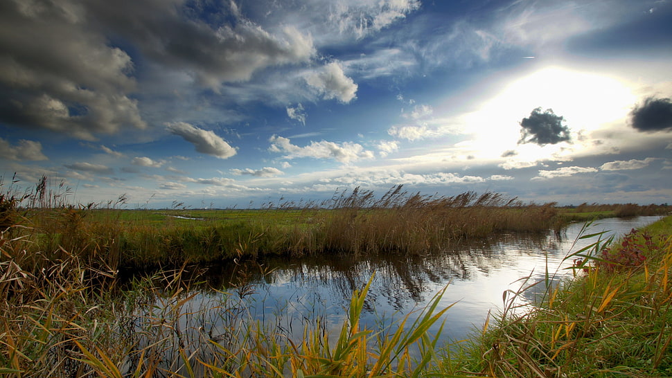 green grass field photo during daytime HD wallpaper