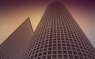 gray concrete building