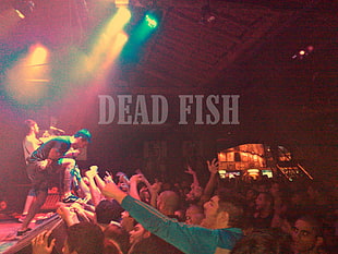 Dead Fish concert, Dead Fish, hardcore, Brasil, Brazil