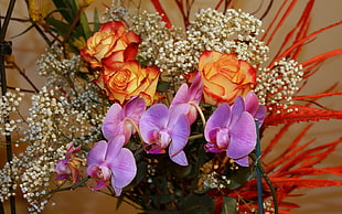 purple Moth Orchid and yellow-and-red Rose flowers