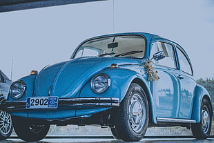 blue Volkswagen Beetle coupe HD wallpaper