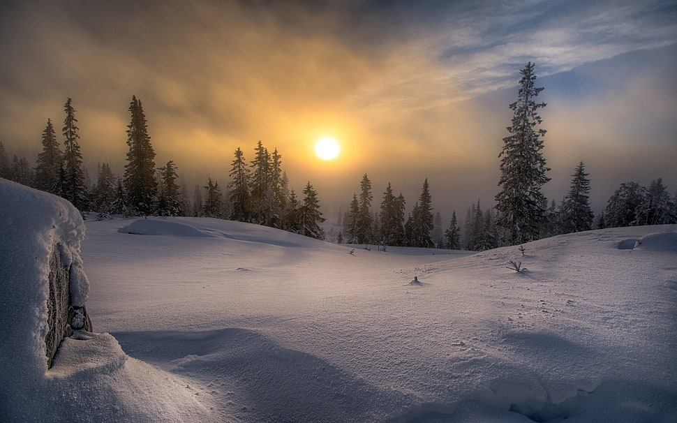 landscape, nature, winter, snow HD wallpaper