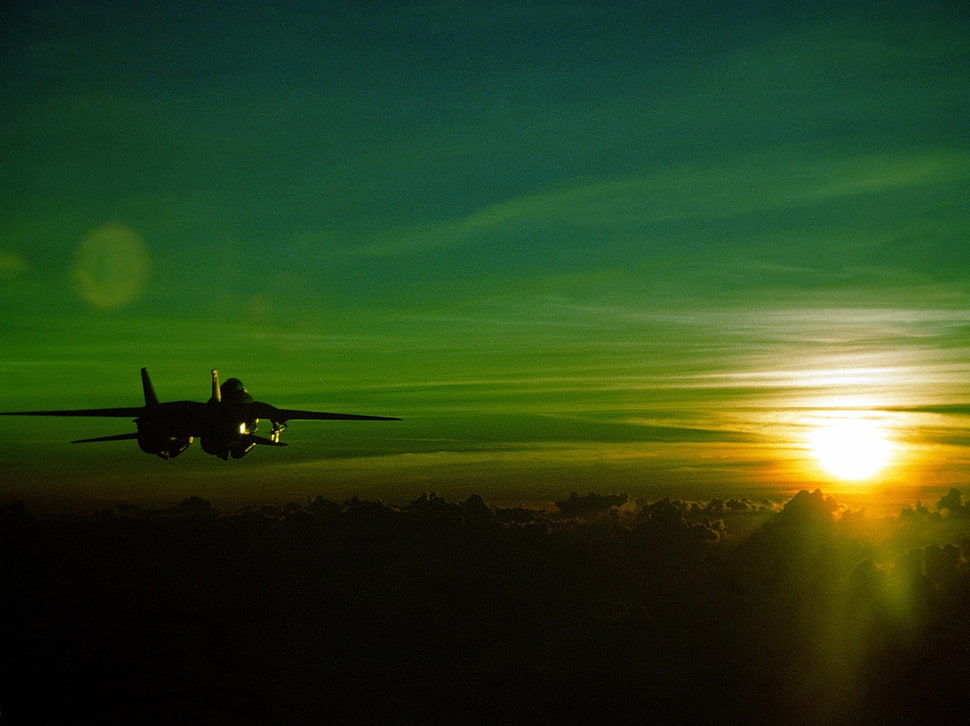 sunset, Grumman F-14 Tomcat, sunset, green, jet fighter HD wallpaper