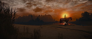 silhouette of cowboy and horse illustration, The Witcher 3: Wild Hunt, video games, horse, sunlight