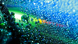 macro photography of water droplets with green and blue lights