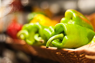 selective focus photography of green bell pepper