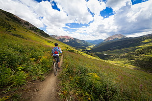 man riding mountain bike on pathway near green grass during daytime, crested butte HD wallpaper