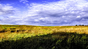 green field and white clouds and blue sky in panoramic photography