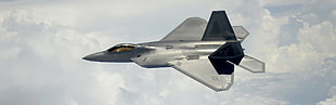 gray jet, F-22 Raptor, military aircraft, aircraft, jet fighter