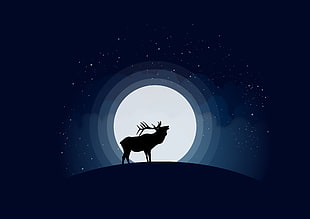silhouette of moose, Deer, Moon, Vector HD wallpaper