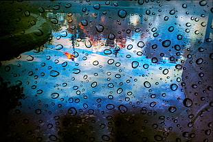 close up photo of water drops HD wallpaper