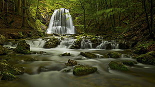 painting of waterfalls, water, rock, nature, forest HD wallpaper