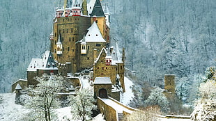 brown castle, nature, castle, Eltz Castle, Germany