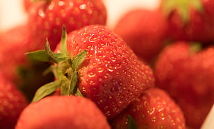 shallow focus photo of stawberry HD wallpaper