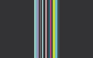 Winter,  Snlinii,  Vertical,  Multi-colored