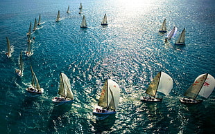 white sail boats on body of water HD wallpaper