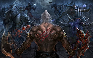 online game characters digital wallpaper, Diablo, Diablo III, fantasy art, digital art