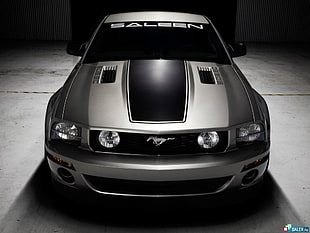 gray Ford Mustang, Ford Mustang, Saleen
