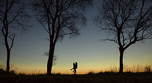 silhouette of man carrying woman surrounded with tall trees HD wallpaper