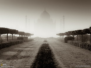 white and black area rug, Taj Mahal, National Geographic HD wallpaper