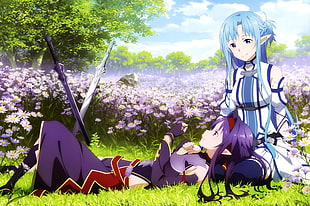 Asuna anime, Yuuki Asuna, Konno Yuuki, Sword Art Online, anime HD wallpaper