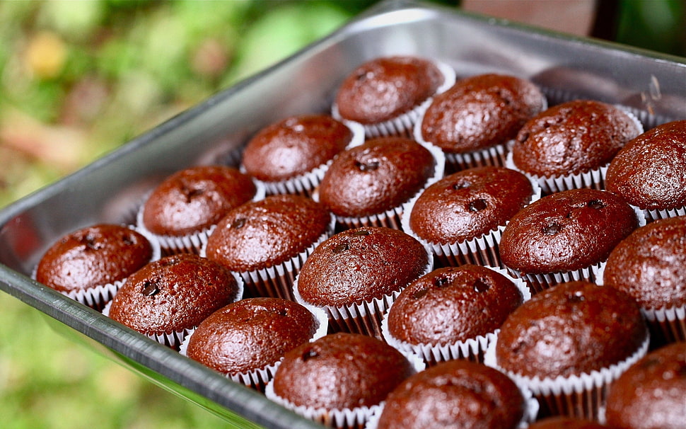 brown cupcakes on stainless steel tray HD wallpaper