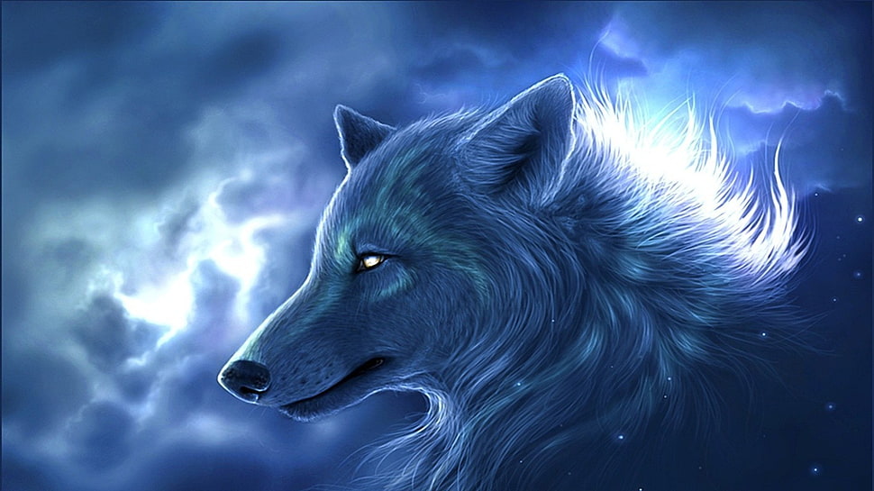 Fox illustration, wolf, fantasy art, animals, artwork HD wallpaper ...